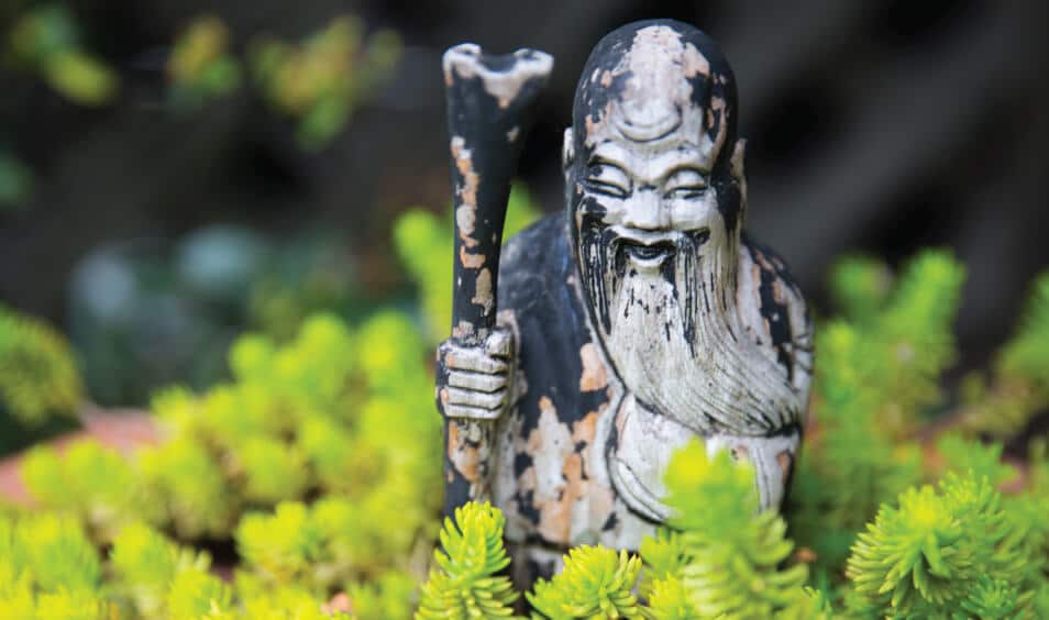 buddah in garden